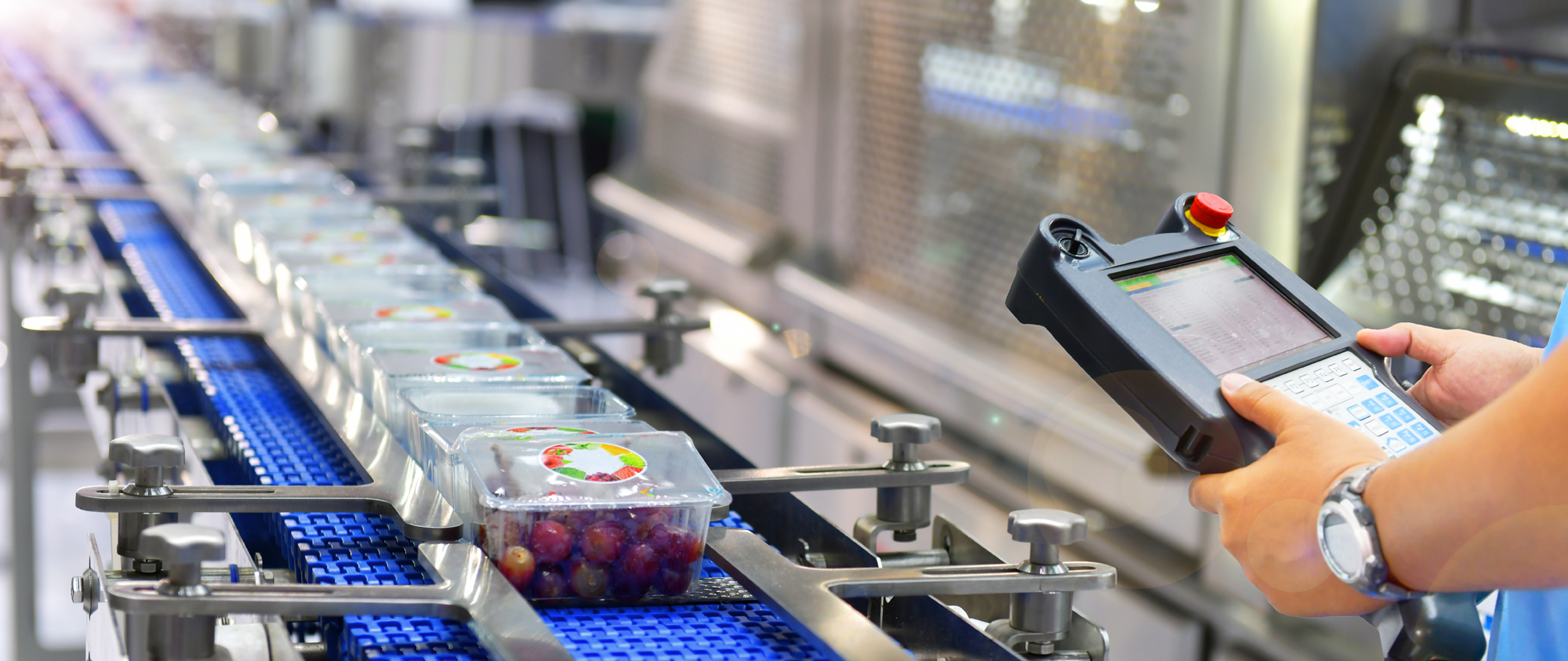 Worker Holding Tablet and Reviewing Food Inspection for Safety